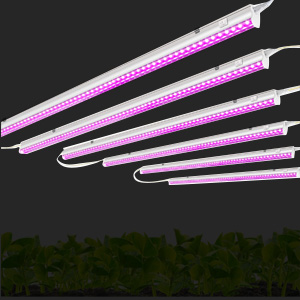 LED Grow Light