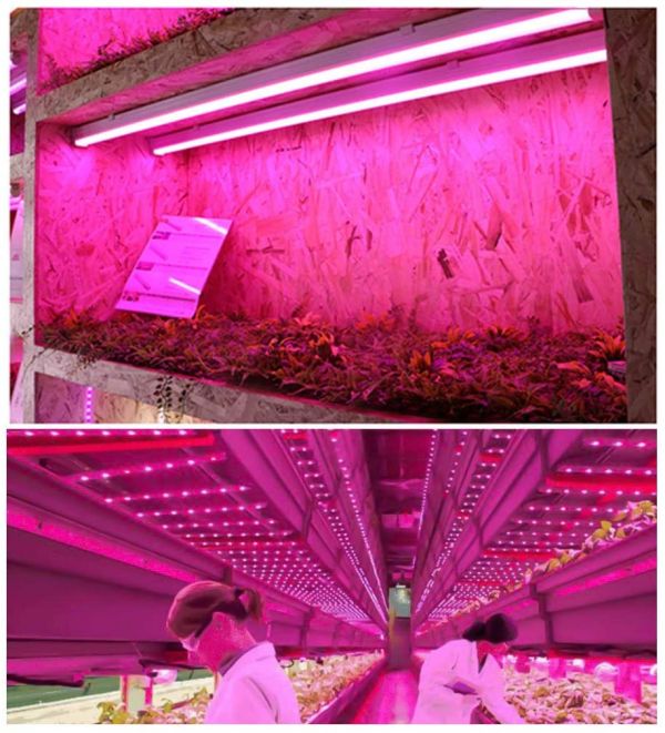 LED Grow Light Fixture