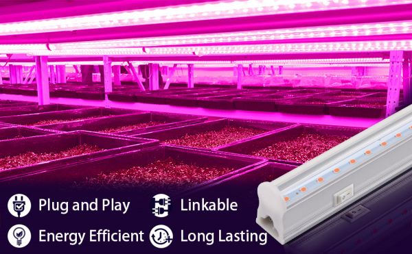 Red-blue LED Grow Light