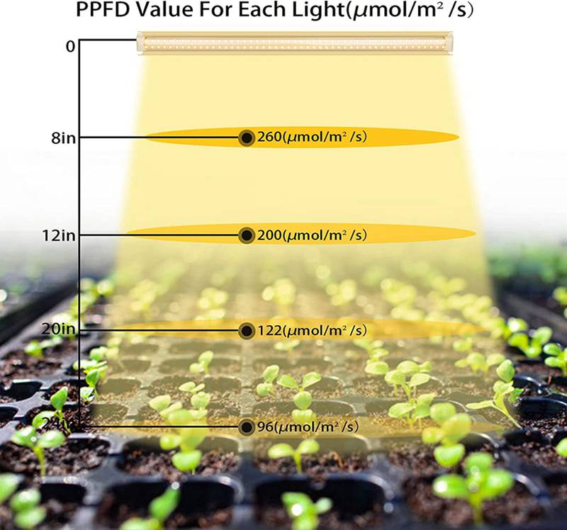 full spectrum plant lights