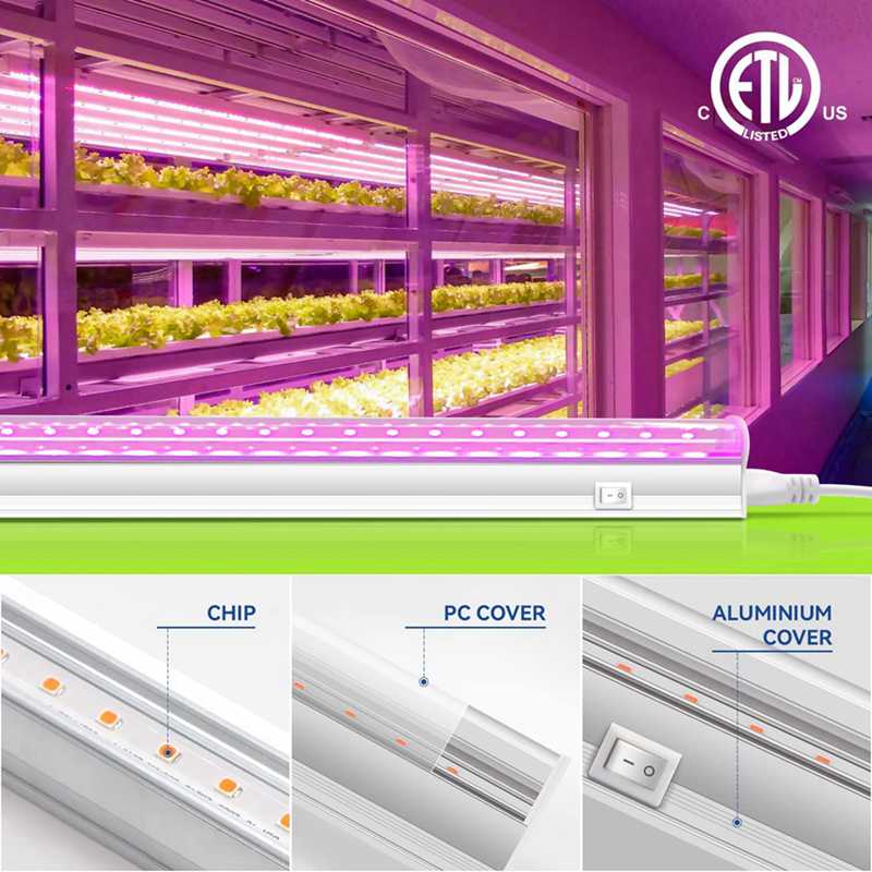 full spectrum plant lights